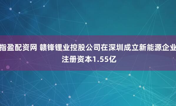 指盈配资网 赣锋锂业控股公司在深圳成立新能源企业 注册资本1.55亿