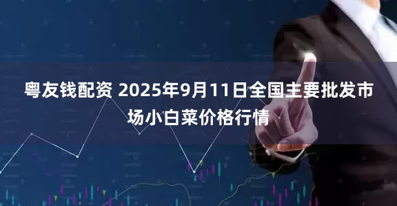 粤友钱配资 2025年9月11日全国主要批发市场小白菜价格行情